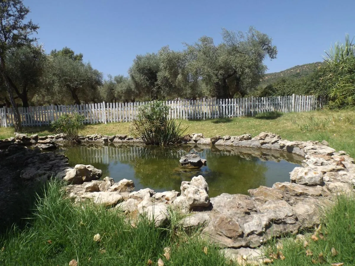 El Venero De Mostoles Constantina
